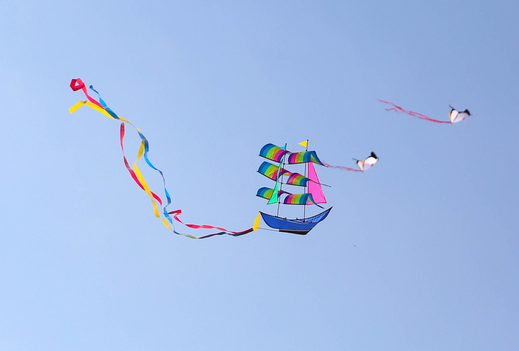 Color the Wind kite festival 02-15-2020 (21).jpg